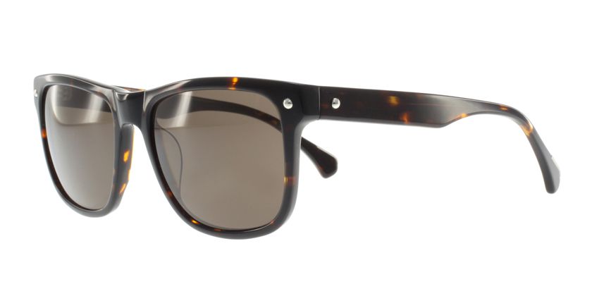 Anson Benson AB2032S022 Sunglasses - 45 Degree View